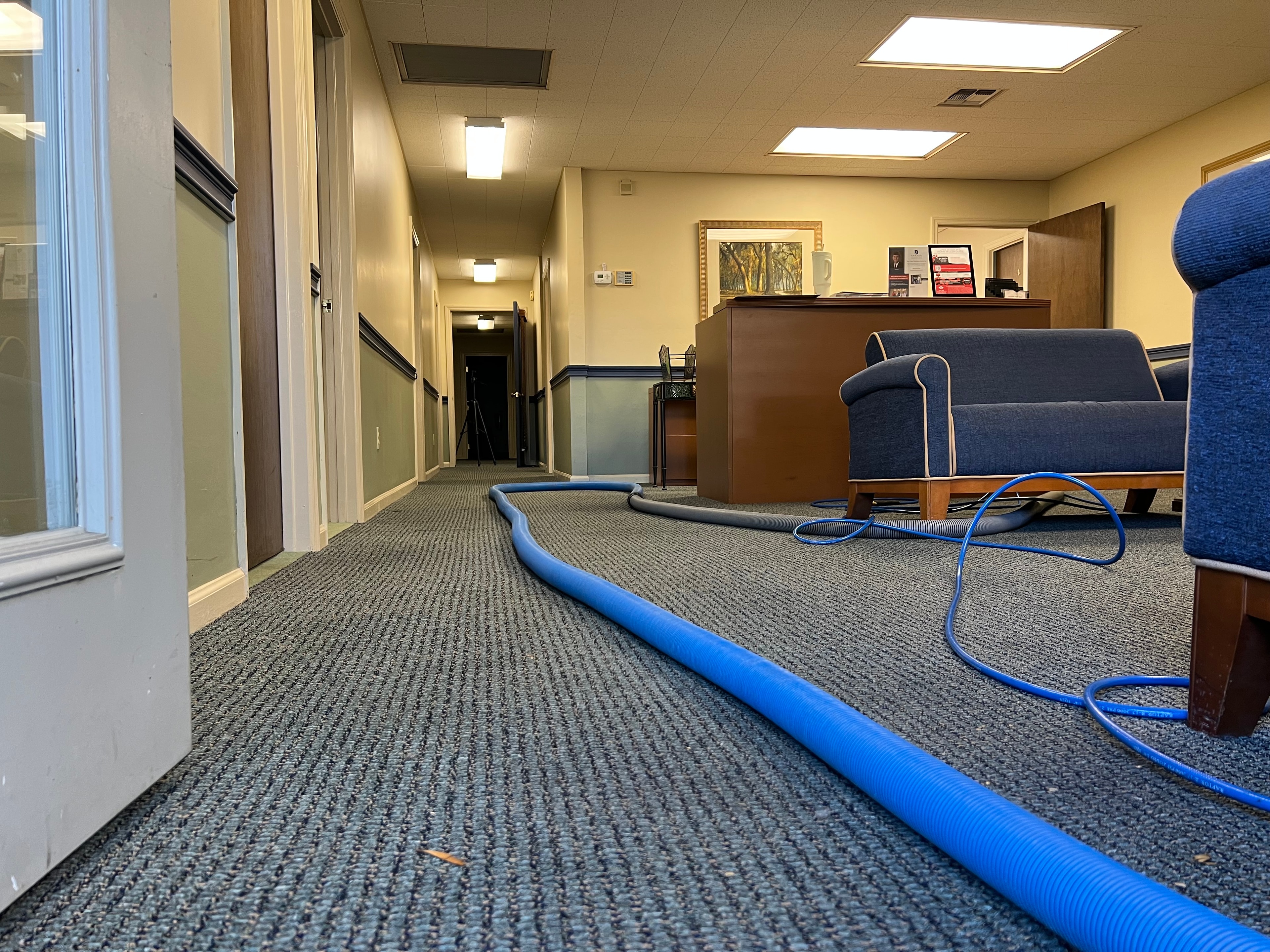 Carpet Cleaning